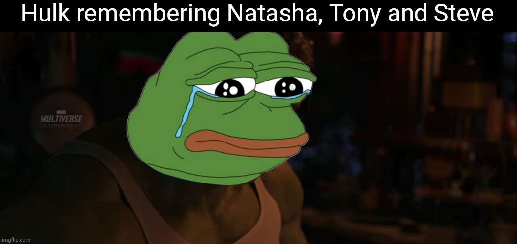 Sad hulk | Hulk remembering Natasha, Tony and Steve | image tagged in hulk | made w/ Imgflip meme maker