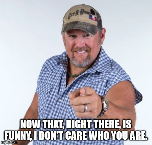 Larry the Cable Guy | NOW THAT, RIGHT THERE, IS FUNNY, I DON'T CARE WHO YOU ARE. | image tagged in larry the cable guy | made w/ Imgflip meme maker