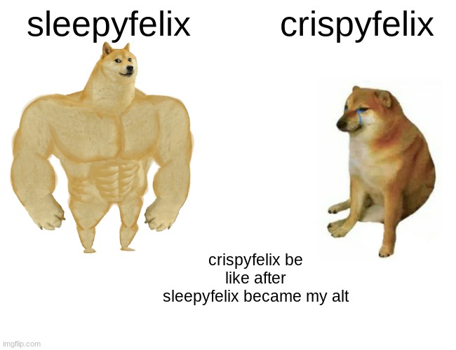 Buff Doge vs. Cheems Meme | sleepyfelix; crispyfelix; crispyfelix be like after sleepyfelix became my alt | image tagged in memes,buff doge vs cheems | made w/ Imgflip meme maker