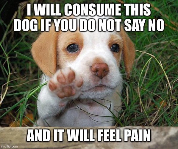 dog puppy bye | I WILL CONSUME THIS DOG IF YOU DO NOT SAY NO AND IT WILL FEEL PAIN | image tagged in dog puppy bye | made w/ Imgflip meme maker