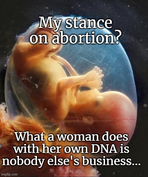 DNA | My stance on abortion? What a woman does with her own DNA is nobody else's business... | image tagged in abortion stance,dna | made w/ Imgflip meme maker