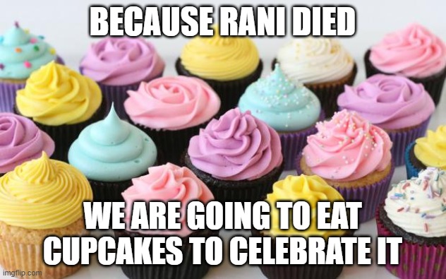 cupcake | BECAUSE RANI DIED; WE ARE GOING TO EAT CUPCAKES TO CELEBRATE IT | image tagged in cupcake,memes,president_joe_biden | made w/ Imgflip meme maker