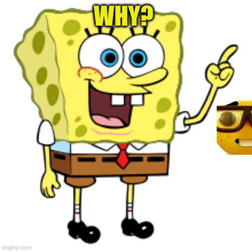 sponge Bob | WHY? | image tagged in sponge bob | made w/ Imgflip meme maker