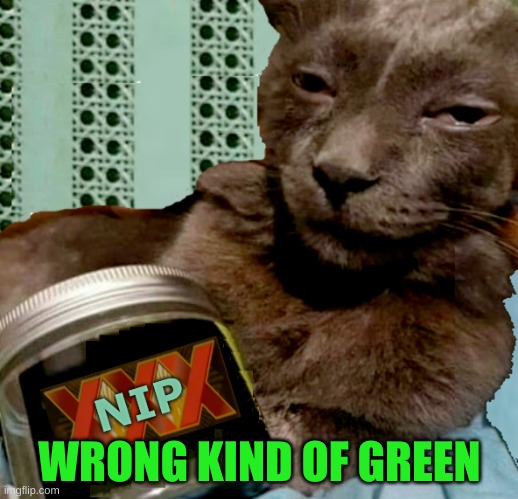 WRONG KIND OF GREEN | image tagged in shiposta 4 lyfe | made w/ Imgflip meme maker