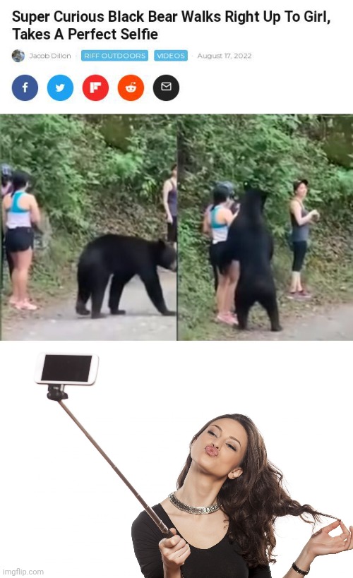 A selfie | image tagged in selfiestick,selfie,black bear,memes,news,meme | made w/ Imgflip meme maker