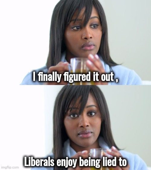 The only explanation | I finally figured it out , Liberals enjoy being lied to | image tagged in black woman drinking tea 2 panels,libtards,lying dens,alright i get it,politicians suck | made w/ Imgflip meme maker