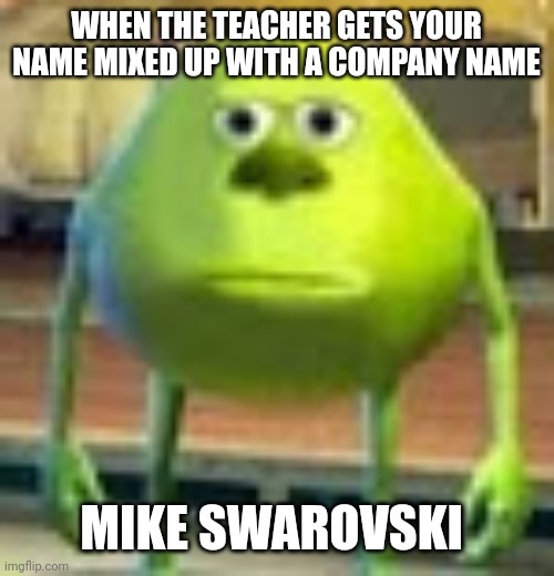 Sully Wazowski | WHEN THE TEACHER GETS YOUR NAME MIXED UP WITH A COMPANY NAME; MIKE SWAROVSKI | image tagged in sully wazowski | made w/ Imgflip meme maker