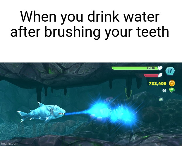 This came from hungry sharks evolution and please comment what you think |  When you drink water after brushing your teeth | image tagged in memes,hungry,sharks,evolution,why are you reading this | made w/ Imgflip meme maker