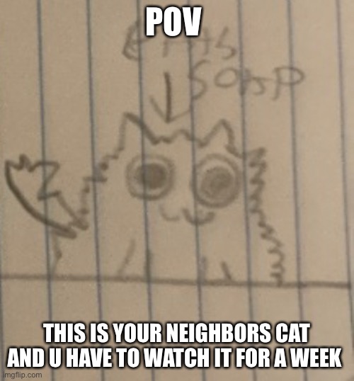 No killing the cat | POV; THIS IS YOUR NEIGHBORS CAT AND U HAVE TO WATCH IT FOR A WEEK | made w/ Imgflip meme maker