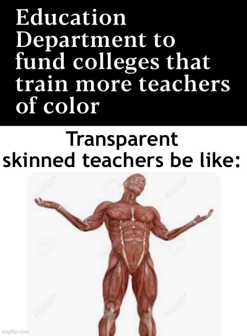 Progressives are bigoted towards people without any skin coloring | Transparent skinned teachers be like: | image tagged in politics lol,memes,derp,liberal logic | made w/ Imgflip meme maker