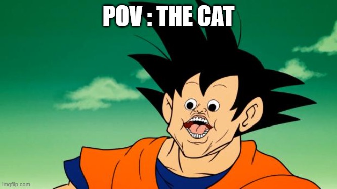 Derpy Interest Goku | POV : THE CAT | image tagged in derpy interest goku | made w/ Imgflip meme maker
