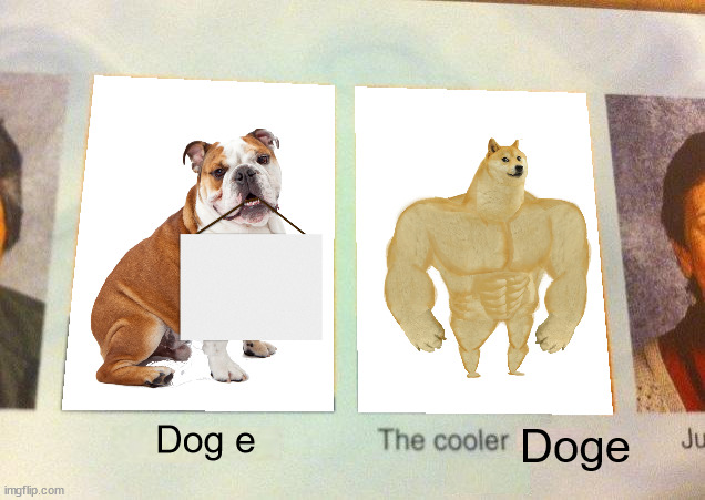 Daniel, The cooler Daniel (blank) | Dog e; Doge | image tagged in daniel the cooler daniel blank | made w/ Imgflip meme maker
