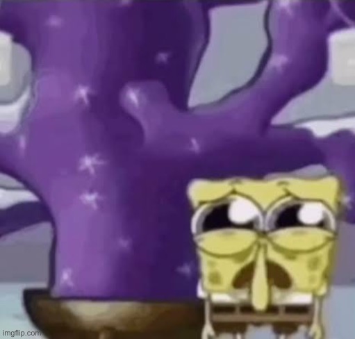 Zad Spunchbob | image tagged in zad spunchbob | made w/ Imgflip meme maker