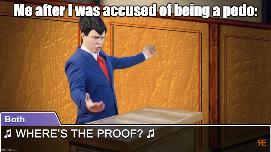 SHOW ME THE PROOF | Me after I was accused of being a pedo: | image tagged in where's the proof | made w/ Imgflip meme maker