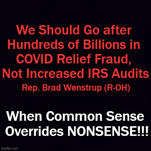 And Democrats don't understand that if you do not discipline children for bad behavior, they won't follow the rules of society. | We Should Go after 
Hundreds of Billions in 
COVID Relief Fraud, 
Not Increased IRS Audits; Rep. Brad Wenstrup (R-OH); When Common Sense 
Overrides NONSENSE!!! | image tagged in politics,common sense,nonsense,democrats,consequences,recapture money do not incur more debt | made w/ Imgflip meme maker