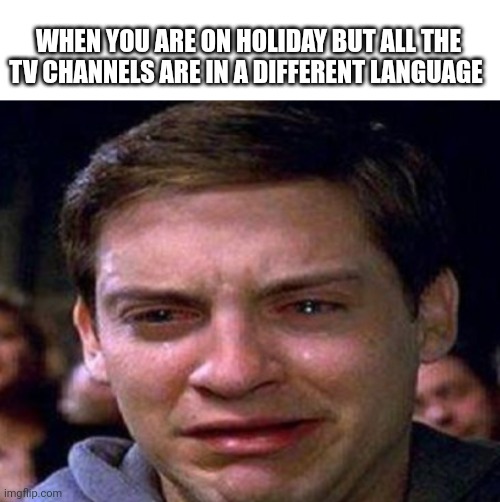 WHEN YOU ARE ON HOLIDAY BUT ALL THE TV CHANNELS ARE IN A DIFFERENT LANGUAGE | image tagged in tobey maguire | made w/ Imgflip meme maker