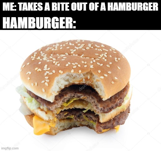 HAMBURGER:; ME: TAKES A BITE OUT OF A HAMBURGER | image tagged in blank white template,funny not funny,not funny,bad meme,bad joke,hamburger | made w/ Imgflip meme maker