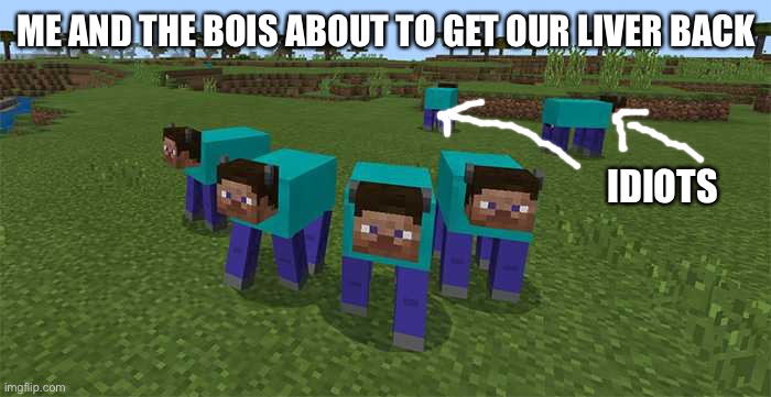 me and the boys | ME AND THE BOIS ABOUT TO GET OUR LIVER BACK IDIOTS | image tagged in me and the boys | made w/ Imgflip meme maker