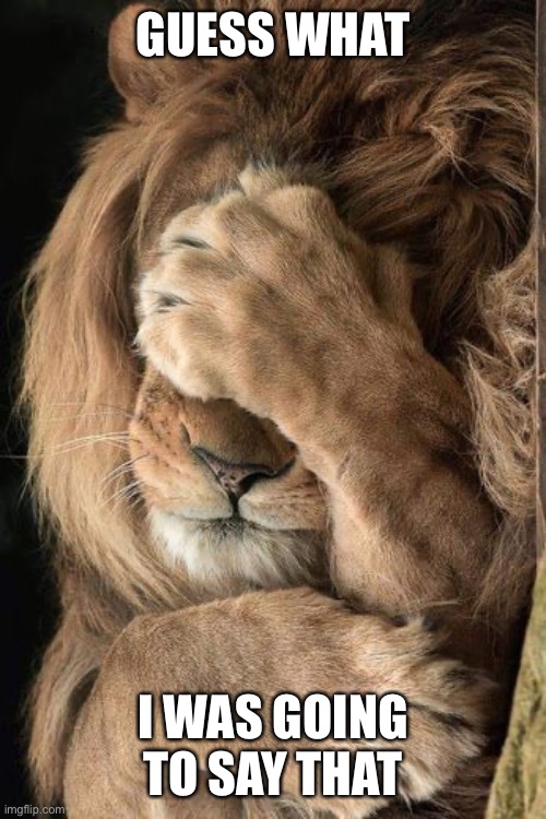 Lion facepalm | GUESS WHAT I WAS GOING TO SAY THAT | image tagged in lion facepalm | made w/ Imgflip meme maker