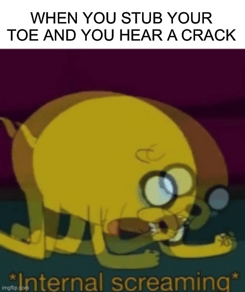 P A I N |  WHEN YOU STUB YOUR TOE AND YOU HEAR A CRACK | image tagged in jake the dog internal screaming,memes,funny,pain,ouch,toe | made w/ Imgflip meme maker