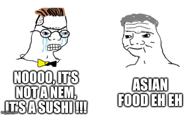 Asian food |  NOOOO, IT'S NOT A NEM, IT'S A SUSHI !!! ASIAN FOOD EH EH | image tagged in noooo you can't just | made w/ Imgflip meme maker