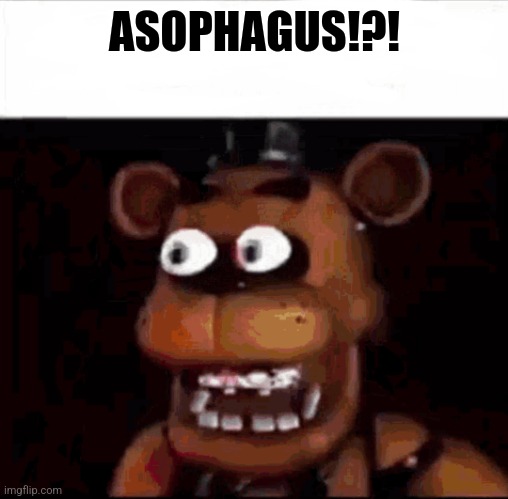 Shocked Freddy Fazbear | ASOPHAGUS!?! | image tagged in shocked freddy fazbear | made w/ Imgflip meme maker