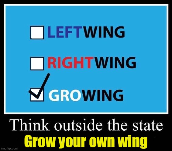Think outside the State. | Grow your own wing | image tagged in growing,grow,your own wing,outside the state,think | made w/ Imgflip meme maker