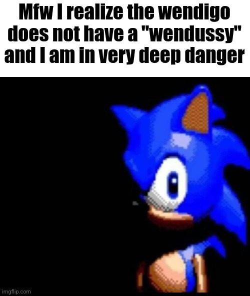 Sonic stares | Mfw I realize the wendigo does not have a "wendussy" and I am in very deep danger | image tagged in sonic stares | made w/ Imgflip meme maker