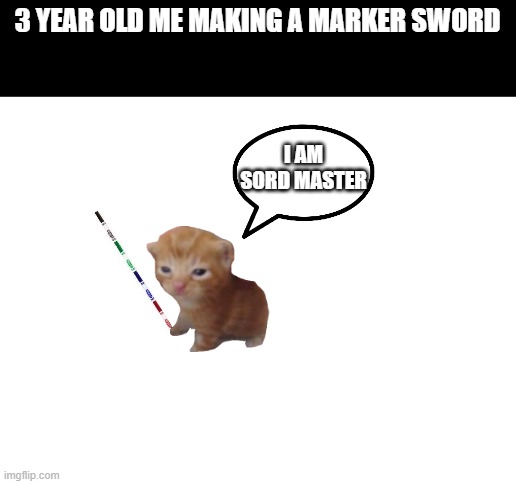 is this reletable to you? |  3 YEAR OLD ME MAKING A MARKER SWORD; I AM SORD MASTER | image tagged in blank white template,sword,cat,meme,memes,funny | made w/ Imgflip meme maker