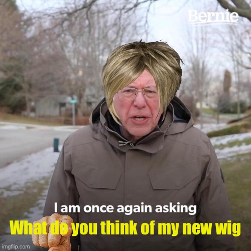 Bernie I am once again asking | What do you think of my new wig | image tagged in memes,bernie i am once again asking for your support,my new wig,bad hair day,politics | made w/ Imgflip meme maker