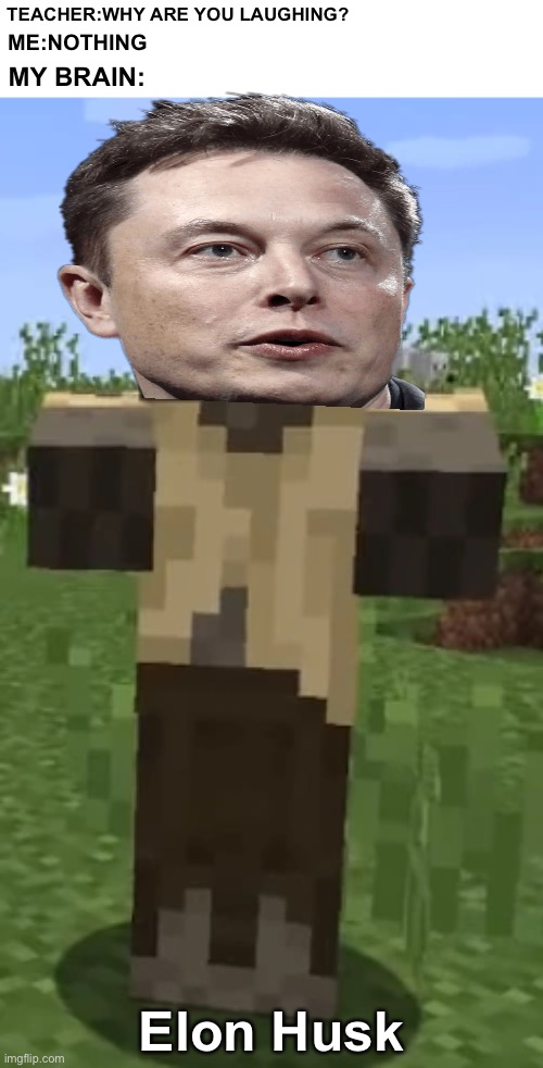 TEACHER:WHY ARE YOU LAUGHING? ME:NOTHING; MY BRAIN:; Elon Husk | image tagged in minecraft,elon musk,husk | made w/ Imgflip meme maker