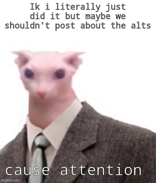 if there are any more | Ik i literally just did it but maybe we shouldn't post about the alts; cause attention | image tagged in bingus | made w/ Imgflip meme maker