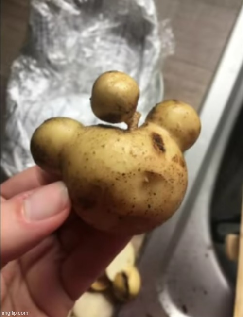 redditato | made w/ Imgflip meme maker