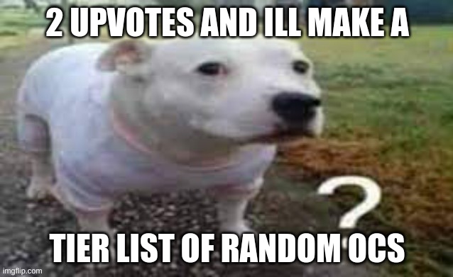i feel like im gonna start a trend | 2 UPVOTES AND ILL MAKE A; TIER LIST OF RANDOM OCS | image tagged in memes,funny,dog question mark,tier list,upvotes,upvote | made w/ Imgflip meme maker
