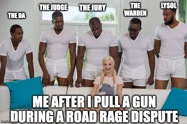 piper perri | THE WARDEN; LYSOL; THE JURY; THE JUDGE; THE DA; ME AFTER I PULL A GUN DURING A ROAD RAGE DISPUTE | image tagged in piper perri | made w/ Imgflip meme maker