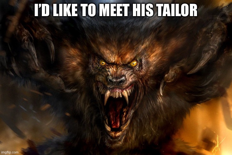 WareWolf | I’D LIKE TO MEET HIS TAILOR | image tagged in warewolf | made w/ Imgflip meme maker