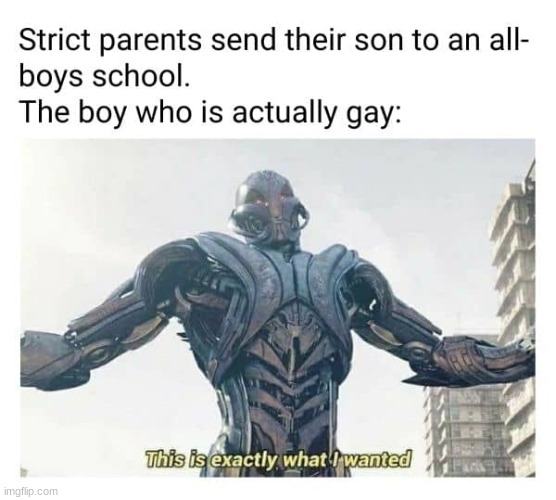yes boy school | image tagged in gay | made w/ Imgflip meme maker