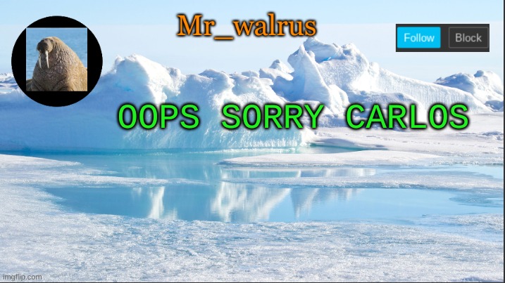 Mr_walrus | OOPS SORRY CARLOS | image tagged in mr_walrus | made w/ Imgflip meme maker