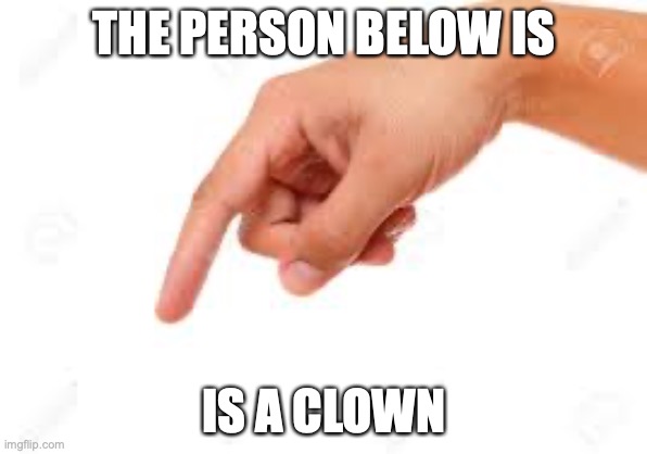 the person below | THE PERSON BELOW IS; IS A CLOWN | image tagged in the person below | made w/ Imgflip meme maker