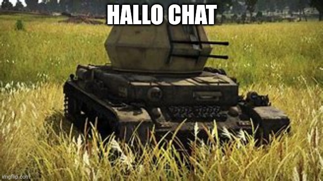 Wirbelwind | HALLO CHAT | image tagged in wirbelwind | made w/ Imgflip meme maker
