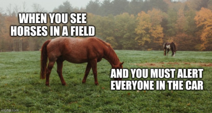 If you know, you know | image tagged in horse,lol,xd | made w/ Imgflip meme maker