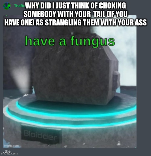 have a fungus | WHY DID I JUST THINK OF CHOKING SOMEBODY WITH YOUR  TAIL (IF YOU HAVE ONE) AS STRANGLING THEM WITH YOUR ASS | image tagged in have a fungus | made w/ Imgflip meme maker