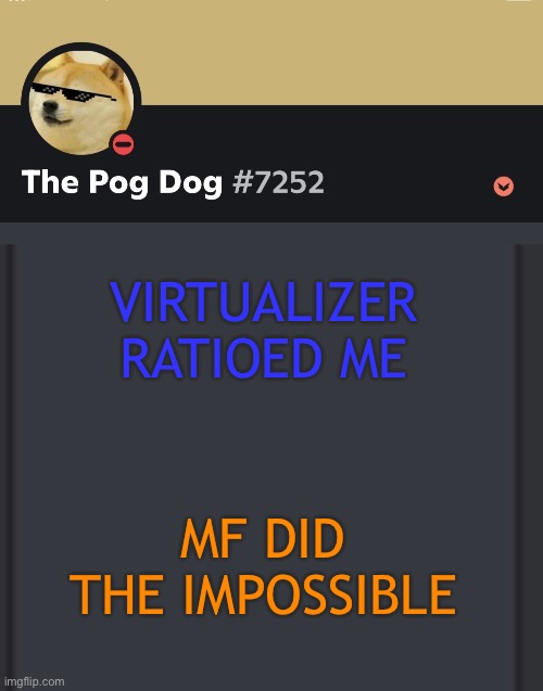 epic doggos epic discord temp | VIRTUALIZER RATIOED ME; MF DID THE IMPOSSIBLE | image tagged in epic doggos epic discord temp | made w/ Imgflip meme maker