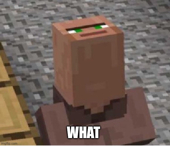 Minecraft Villager Looking Up | WHAT | image tagged in minecraft villager looking up | made w/ Imgflip meme maker