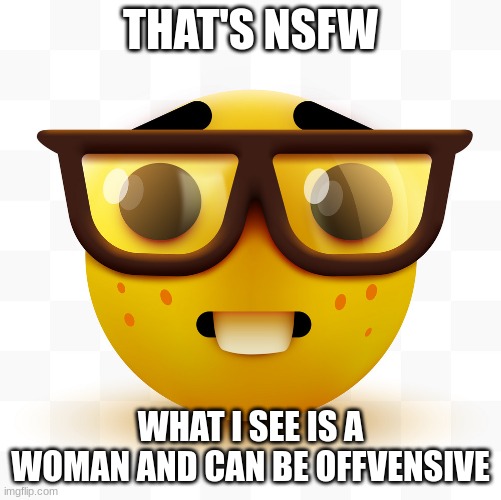 IT IS SIR :nerd emoji: | THAT'S NSFW WHAT I SEE IS A WOMAN AND CAN BE OFFVENSIVE | image tagged in nerd emoji | made w/ Imgflip meme maker