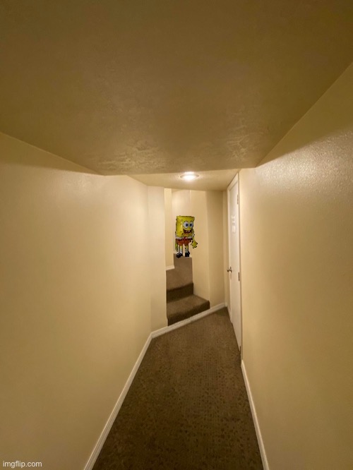 liminal hotel hallway | image tagged in liminal hotel hallway | made w/ Imgflip meme maker