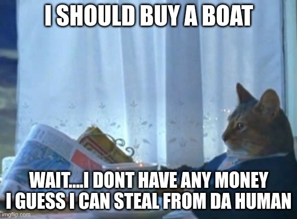 I Should Buy A Boat Cat Meme | I SHOULD BUY A BOAT; WAIT....I DONT HAVE ANY MONEY I GUESS I CAN STEAL FROM DA HUMAN | image tagged in memes,i should buy a boat cat | made w/ Imgflip meme maker