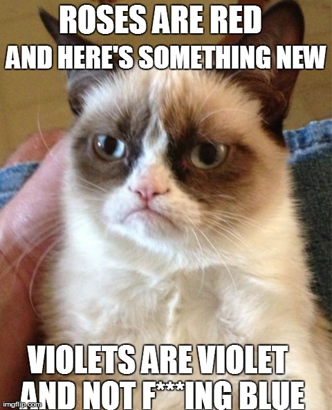 Grumpy Cat | ROSES ARE RED VIOLETS ARE VIOLET  AND HERE'S SOMETHING NEW AND NOT F***ING BLUE | image tagged in memes,grumpy cat | made w/ Imgflip meme maker