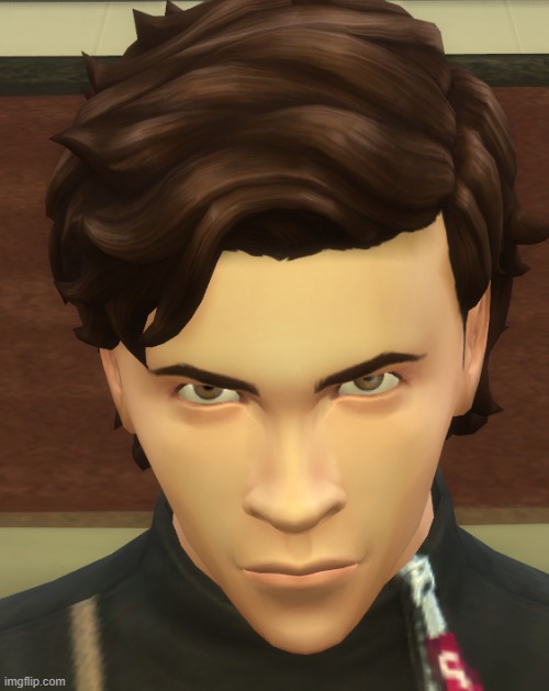 my sim knows what you did | made w/ Imgflip meme maker