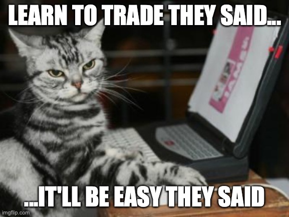 Learn to trade they said... | LEARN TO TRADE THEY SAID... ...IT'LL BE EASY THEY SAID | image tagged in cat computer | made w/ Imgflip meme maker